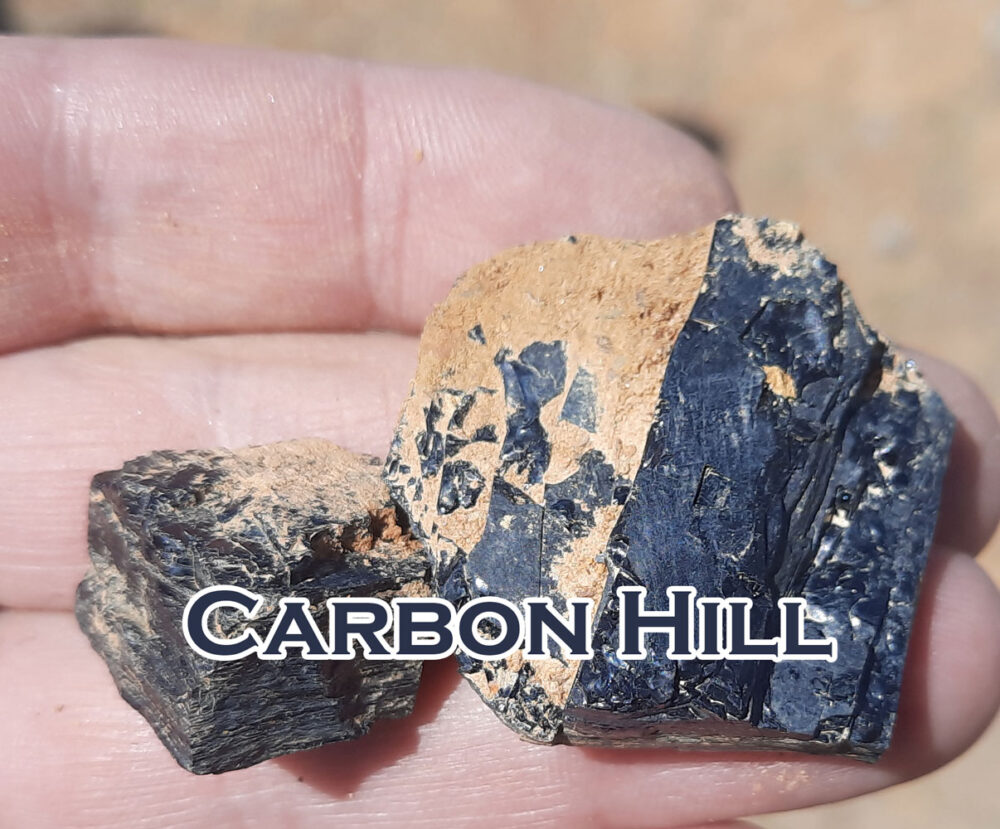 Carbon Hill Coal